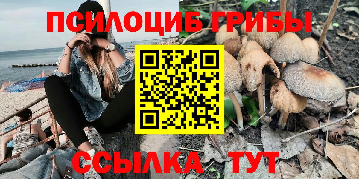 Ростов Великий  Псилоцибиновые грибы Psilocybe  Вход с VPN  Галлюциногенные грибы мухоморы 