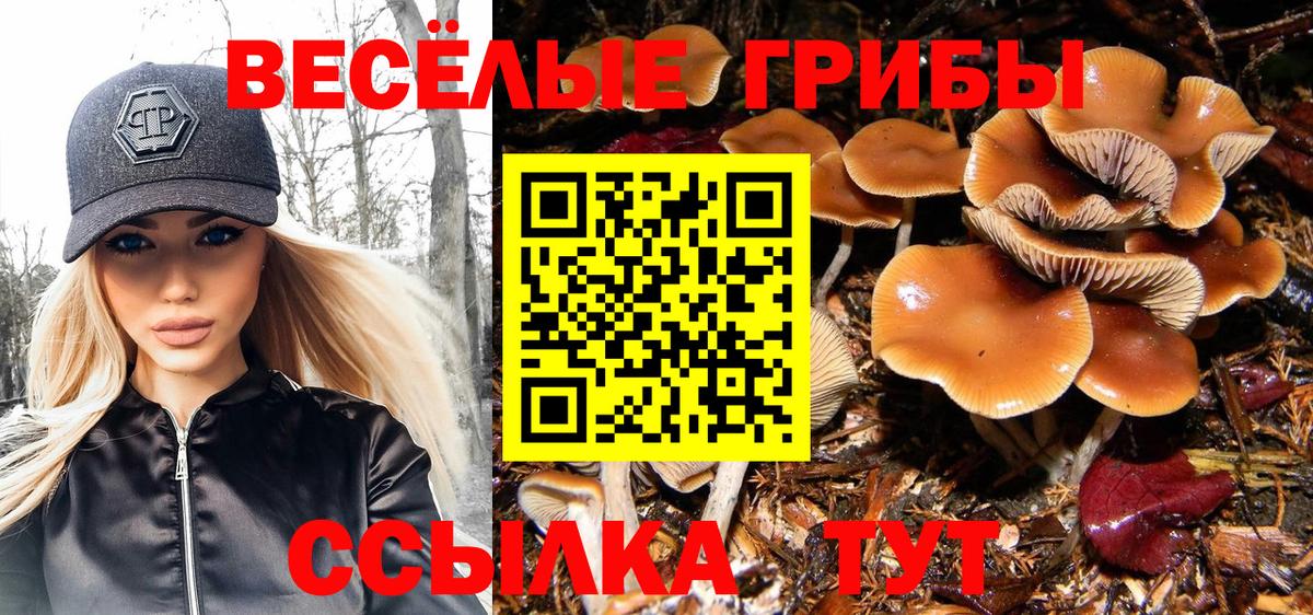 Псилоцибиновые грибы Psilocybe Ростов Великий
